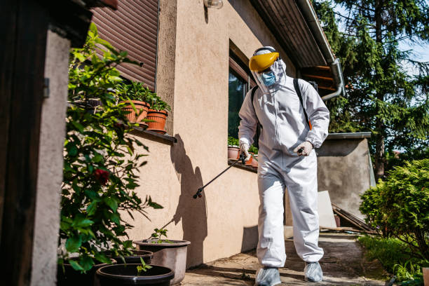 Best Affordable Pest Control Services  in Radcliff, KY
