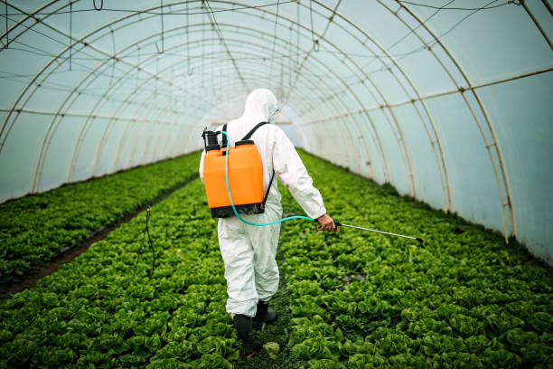 Best Pest Inspection Near Me  in Radcliff, KY