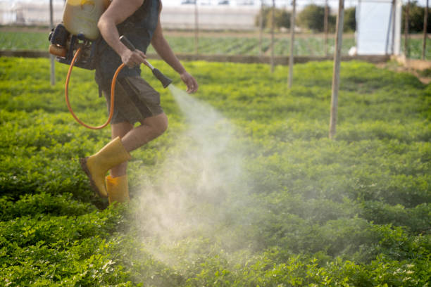 Best Pest Removal Services  in Radcliff, KY