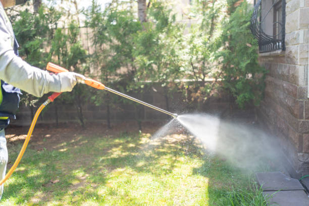 Trusted Radcliff, KY Pest Control Experts