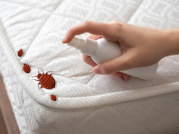 Best Commercial Pest Control Services  in Radcliff, KY