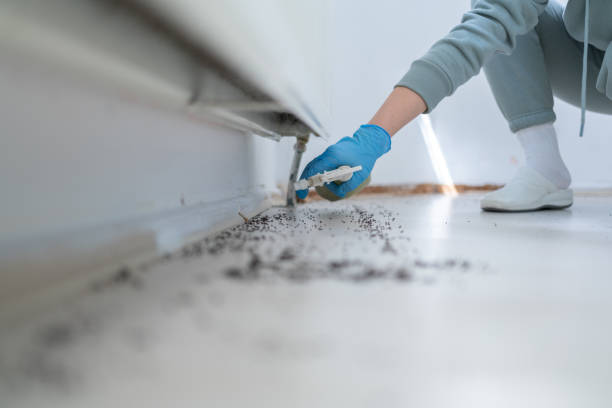 Best Mosquito Control Services  in Radcliff, KY